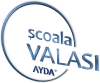 valasi logo